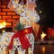 Holiday LED Brown Reindeer with Sleigh, Warm White Twinkling Christmas Lights